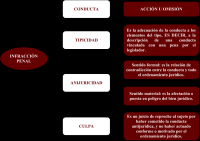 /album/amarilis-herrera/derecho-png/